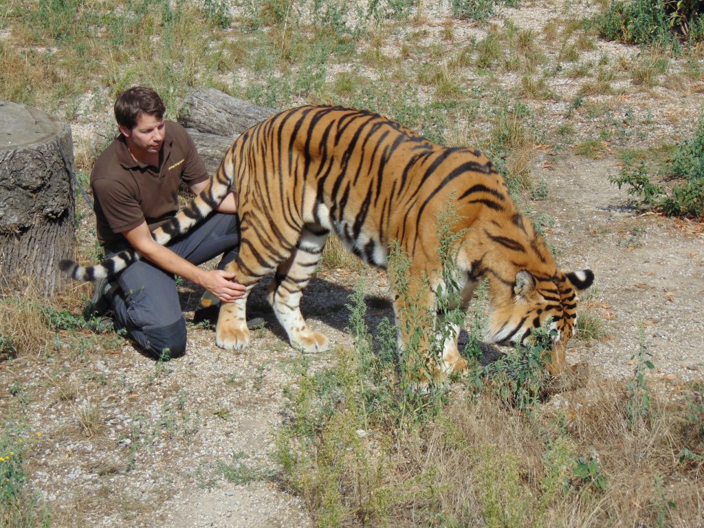 Bernd Borgmann lebt mit Raubtieren zusammen. Sein Safari-Wohlfühlhof ist eine Auffangstation für Tiere, die sonst keine Überlebenschance hätten. 