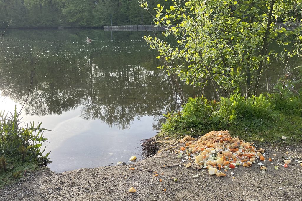 Falsche Tierliebe: Am Wochenende machten Spaziergänger am Barkenberger See wieder einen bedenklichen Fund.